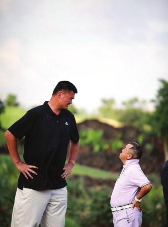 无论是猛龙 无论是猛龙